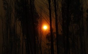 Mais de 50 concelhos de nove distritos em perigo máximo de incêndio