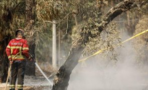 PJ detém suspeito de causar 20 incêndios em 5 meses em Ponte da Barca