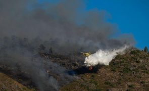 Juiz liberta suspeito de 20 fogos devido à greve dos funcionários judiciais