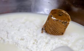 Queijo do Maio quer conquistar Cabo Verde, mesmo com futuro incerto
