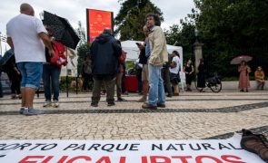 Manifestantes no Porto dizem 