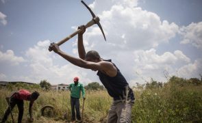 Alterações climáticas agravam crise alimentar e conflitos em África