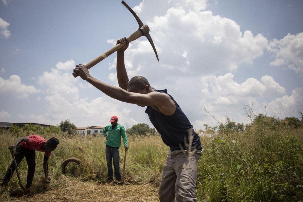 Alterações climáticas agravam crise alimentar e conflitos em África