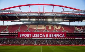 Benfica SAD com lucro de 4,2 ME após dois anos de prejuízos