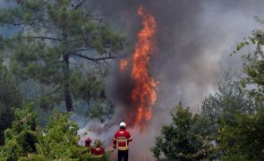 Viatura dos bombeiros arde durante o combate às chamas em Coimbra