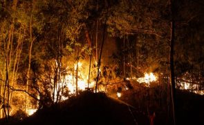 Fogo em Coimbra continua com duas frentes ativas