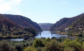 Quercus alerta para proliferação anómala de microalgas no rio Tejo