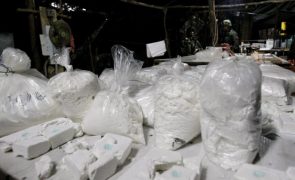 Cultivo de coca na Colômbia com máximo histórico em 2022