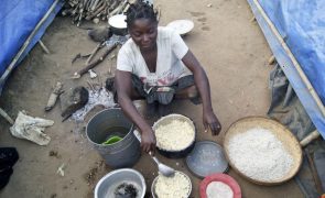 Número de moçambicanos em insegurança alimentar aguda caiu de 29,9% para 9% em três anos