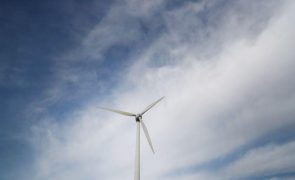 Petrobras vai desenvolver o maior gerador eólico terrestre do Brasil