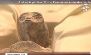 Insólito - Extraterrestres no parlamento mexicano? Leia toda a história