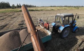 Hungria e Polónia prolongam restrições a importação de cereais ucranianos