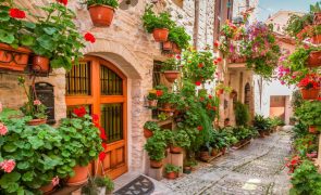 Viagens - 10 destinos obrigatórios para quem gosta de vinho
