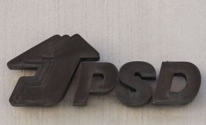 PSD acusa Governo de falhar prazos de pagamento de apoios europeus aos agricultores