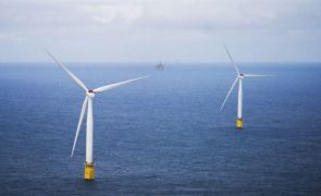 TdC Europeu receia que investimento na energia que o mar produz seja insustentável