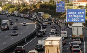 Estradas aumentaram 364% e ferrovias diminuíram 18% em Portugal em 23 anos - ONG