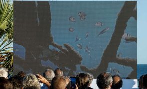 Peças de Vhils submersas no Algarve compõem primeira exposição subaquática em Portugal