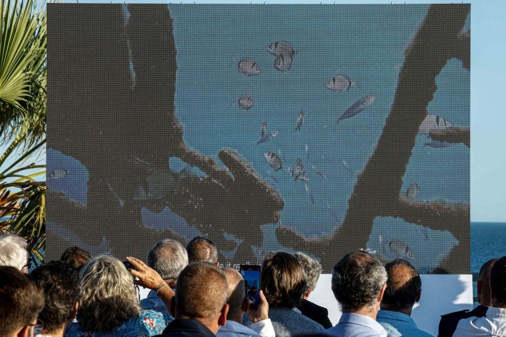 Peças de Vhils submersas no Algarve compõem primeira exposição subaquática em Portugal