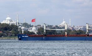 Ucrânia: Navio carregado com três mil toneladas de trigo ucraniano chegou a Istambul