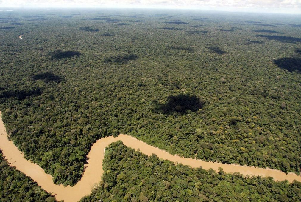 Amazónia concentrou 92% da área de mineração de ouro no Brasil em 2022