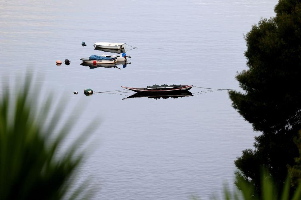Meia tonelada de pinho para fazer renascer barco icónico em Gondomar