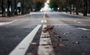 Dia Europeu sem Carros com ruas cortadas e qualidade do ar medida em Lisboa