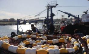 Apenas 1 em cada 6  populações de peixes forrageiros está em bom estado