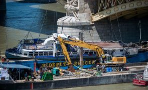 Capitão de barco que afundou outro no Danúbio condenado a 5 anos de prisão