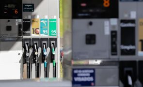 Anarec reconhece esforço do Governo em reduzir ISP mas lamenta valores insuficientes