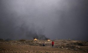 Israel bombardeia a Faixa de Gaza pelo quinto dia consecutivo em resposta a novos protestos