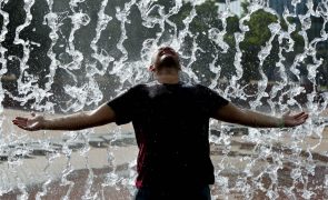 Três distritos e arquipélago da Madeira sob aviso amarelo devido ao calor