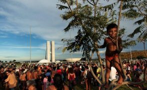 Organizações indígenas brasileiras apelam na ONU contra lei que restringe direito à terra
