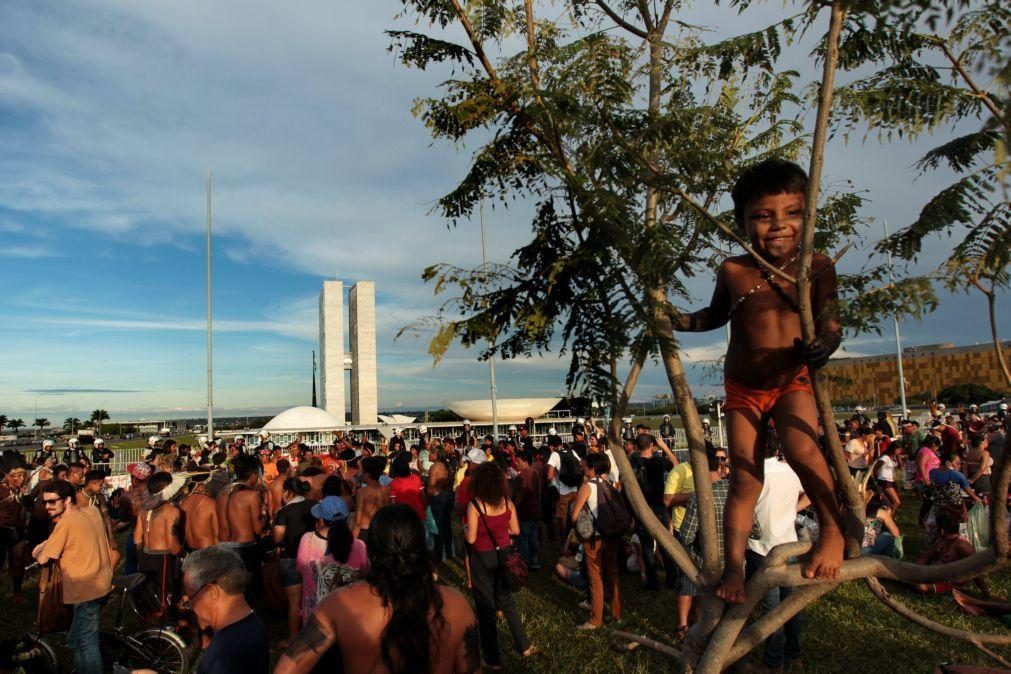 Organizações indígenas brasileiras apelam na ONU contra lei que restringe direito à terra