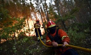 Cerca de 200 operacionais e oito meios aéreos combatem fogo em Viseu