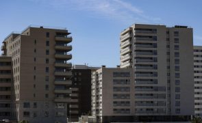 Habita quer que Governo volte a suspender os despejos