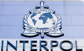 Interpol e Afripol identificaram 21.000 redes em África ligadas a perdas de 40 ME