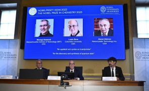 Nobel da Química atribuído a descoberta fundamental para a nanotecnologia