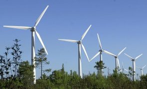 Portugal alinhado com cumprimento de objetivos de energia eólica para 2030