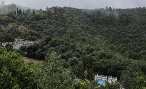 Programa de reordenamento e gestão da Serra do Caldeirão em consulta até novembro