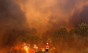 Quinze concelhos de seis distritos em perigo máximo de incêndio