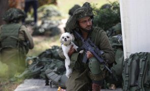 Mais de mil mortos israelitas na ofensiva do Hamas