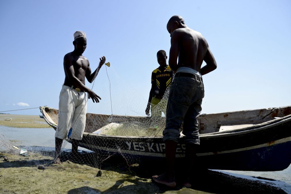 Governo moçambicano aprova regulamento de concessão de direitos de pesca