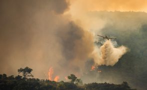 Três concelhos de Santarém em perigo máximo de incêndio