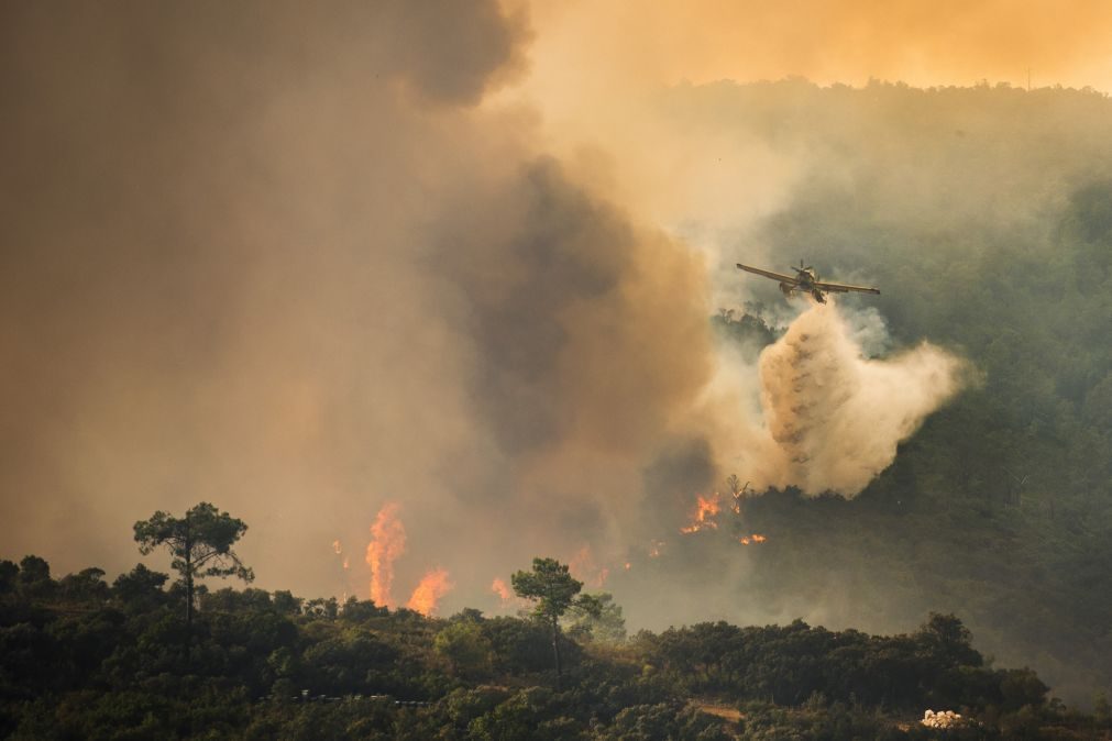Três concelhos de Santarém em perigo máximo de incêndio
