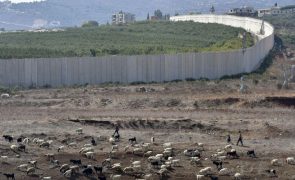 Pelo menos 11 trabalhadores da ONU mortos em bombardeamentos israelitas em Gaza