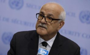 Embaixador palestiniano na ONU pede cessar-fogo e alerta para catástrofe em Gaza