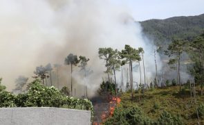 Bombeiros resgatam 13 turistas retidos pelo fogo numa levada no Porto Moniz
