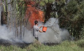 Cinquenta e sete pessoas receberam assistência médica devido aos fogos na Madeira