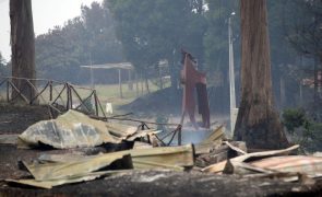 Fogos na Madeira estão todos em fase de rescaldo e vigilância
