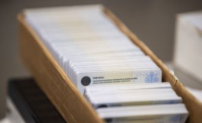 Renovação automatizada da Carta de Condução está disponível a partir de hoje